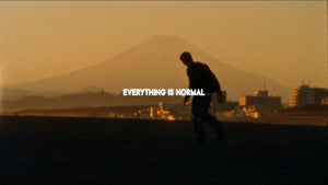 Everything is Normal - Polar Skate Co.