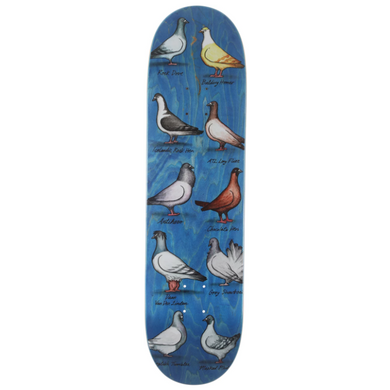 Anti Hero Skateboards Daan Van Der Linden Show Pigeons Skateboard Deck 8.38