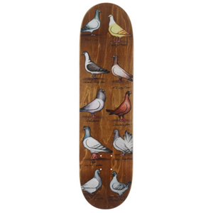 Anti Hero Skateboards Daan Van Der Linden Show Pigeons Skateboard Deck 8.38"