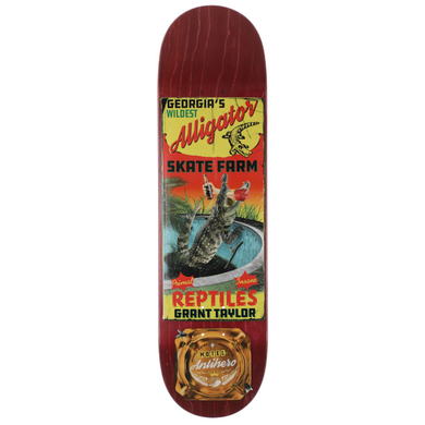 Anti Hero Skateboards Taylor Motel 18 Skateboard Deck 8.62